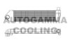 AUTOGAMMA 105578 Intercooler, charger